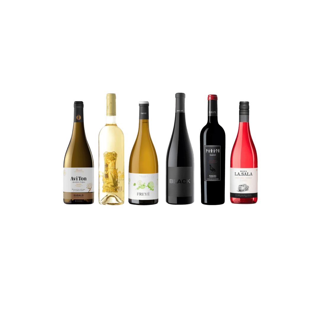 lot or tastavins sant joan